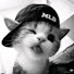 _DNgjSDSQU8-channel-avatar-LUXY_MUSIC