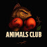 cLcTvxRiF58-channel-avatar-Animals Club 
