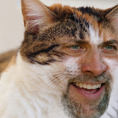 にゃ男