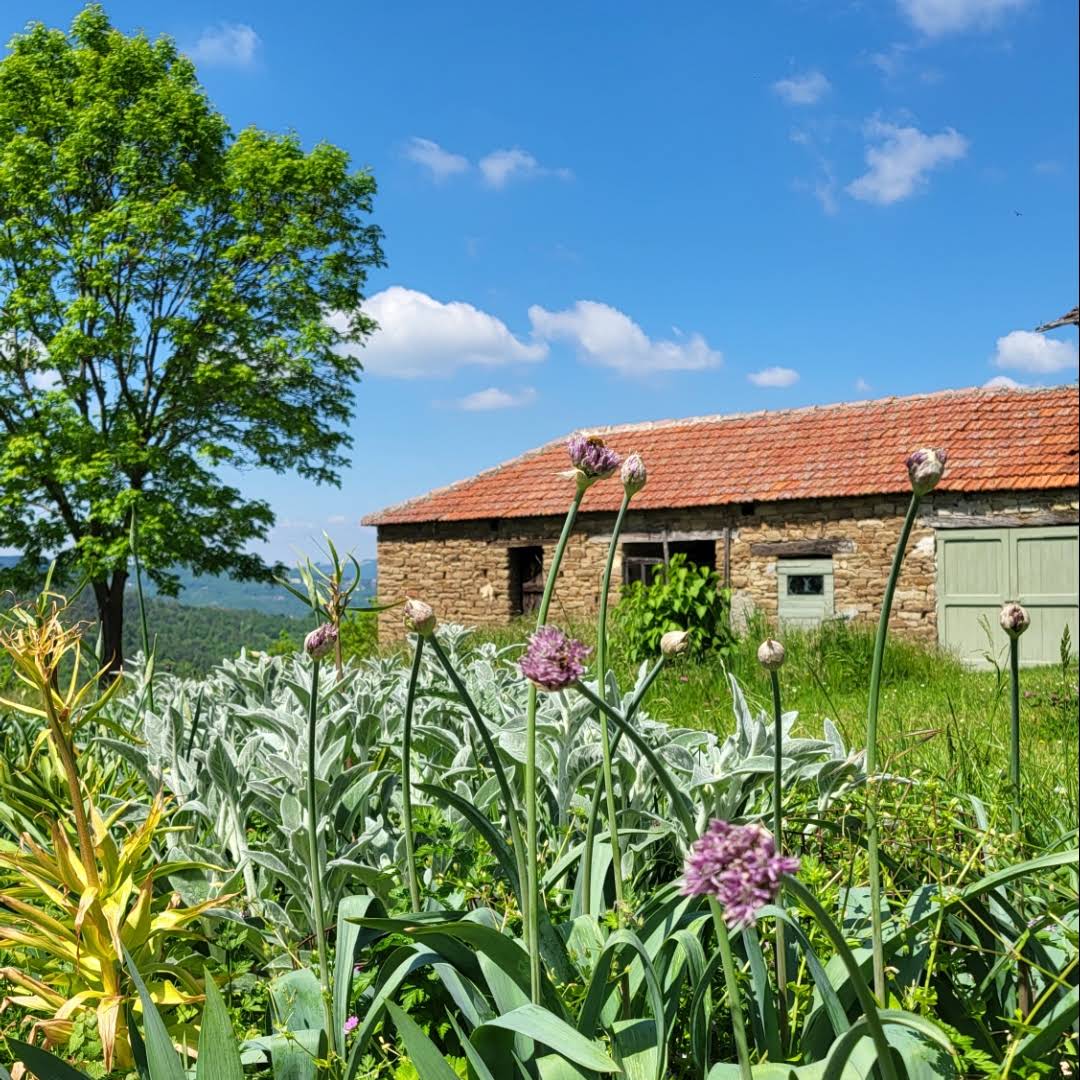 Post from Stories from the cascina