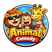 Animal Comedy