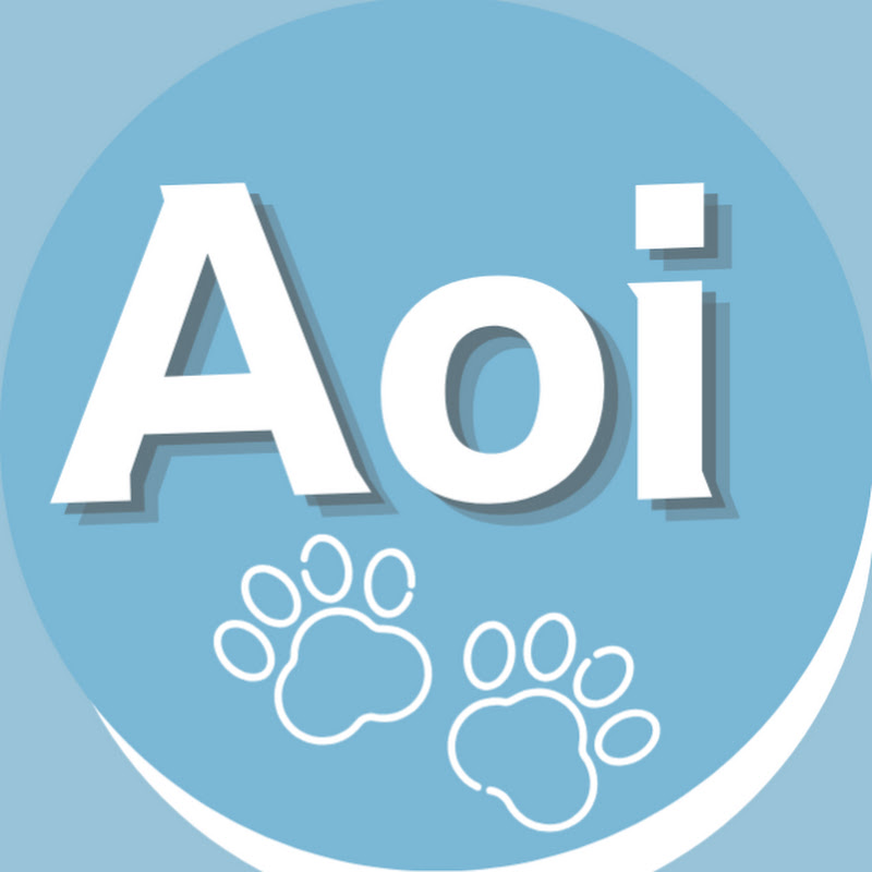 Starting Over in My 50s | Aoi in Japan
