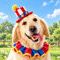 e1mkI8rNGgw-channel-avatar-DOGGO CIRCUS