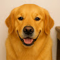 GrumpyDog