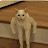 @모네-z5g