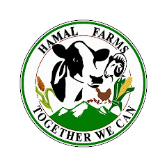 Hamal Farms net worth