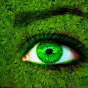 Green Nature YouTube Profile Photo