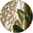 CZtLV7wK_Ik-channel-avatar-一禾 YIHE 