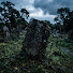 CJGEpZtJWro-channel-avatar-Loan Nguyen