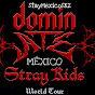 STAY MÉXICO SKZ