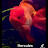 @renegade7625 Avatar