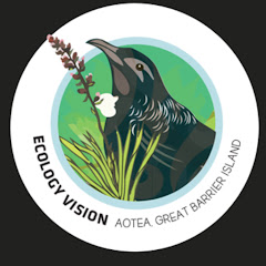 Ecology Vision