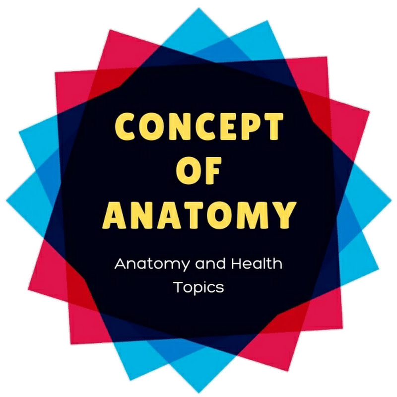 concept of anatomy