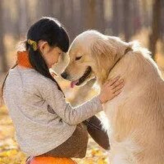 Thumbnail of related channel