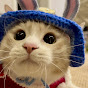 Fun with a cat Avatar