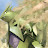 @Tyranitar721