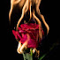 OQZktEftyeo-channel-avatar-Dark_poetry
