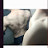 @user-qd4bk7pg8l