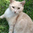 @HEAVENBOUND267 Avatar