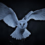 Ghost Owl logo