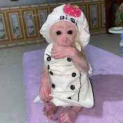 baby パン君