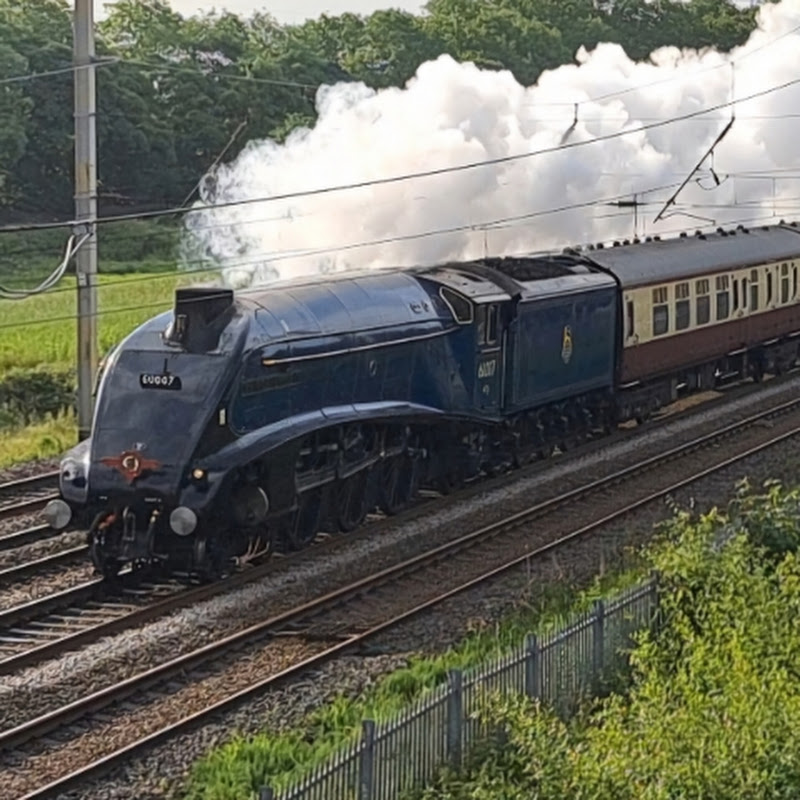 Ryan's Railway