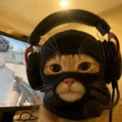 Crazy Cat