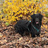 fGDlAjU2knM-channel-avatar-Charlie