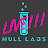 Null Labs Live