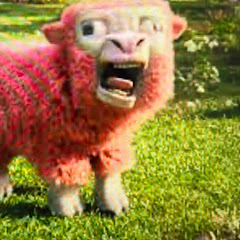 Sneakysheep