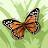 @DavidCousineau-q8r
