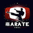 djODaXLIo6s-channel-avatar-The Karate Soul by Sam