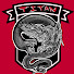 86W6OMVMPvg-channel-avatar-Flanker Ace Gaming