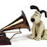 HqwbNCdpJcE-channel-avatar-Music On Record