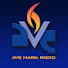BLWycrC-umU-channel-avatar-Ave Maria Radio