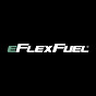 eFlexFuel E85 Conversion Kits logo
