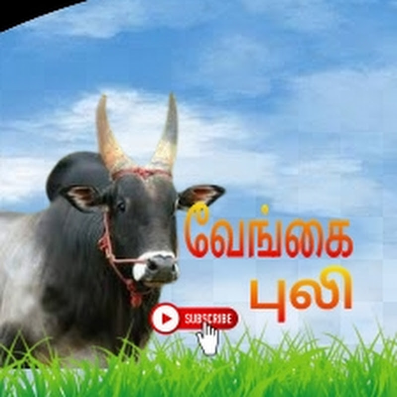 Vengai Puli