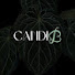 v5OAVf9eO_k-channel-avatar-CandiB