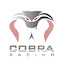 O-Tqlp_8yBg-channel-avatar-Cobra Racing