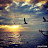 @احمد-ن7ج2م