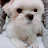 @김단아-y1k