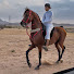 _1PvtQMZ_So-channel-avatar-ثامر بن محمد.