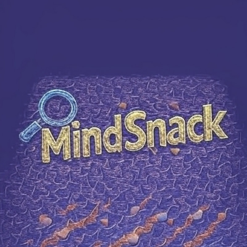 Mindsnack