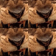 thumbnail img1x1