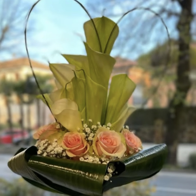 TEJIENDO CON Elizabeth