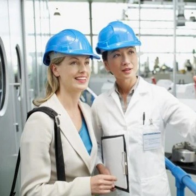 Zairo Insight Factory 