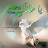 @abeerkareem6550