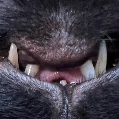 ちびっ子戦隊甜麺醤ー