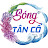 Sóng Tân Cổ