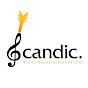 Scandic vibes Entertainment logo
